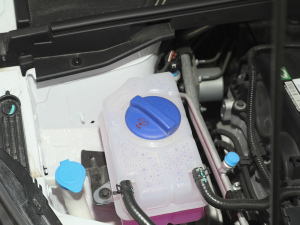 2021款PRO 1.5L CVT青春版 其它