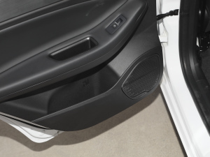 2021PRO 1.5L քഺ g