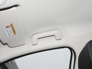 2021PRO 1.5L քഺ g