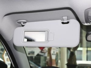 2021ܰ 1.6T DCTʿ ꖰ壨