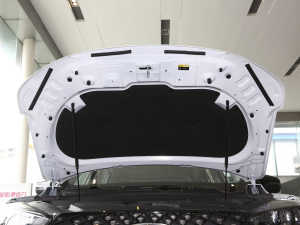 2021ܰ 1.6T DCTʿ 