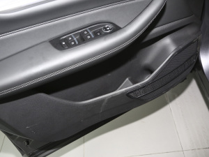 2021Hi 290TGDI Ԅӷu g