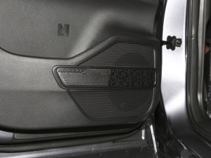 2021Hi 290TGDI Ԅӷu g