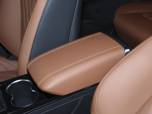 2021Hi 290TGDI Ԅӷu 