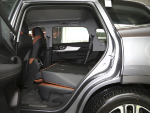 2021Hi 290TGDI Ԅӷu g