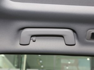 2021Hi 290TGDI Ԅӷu g