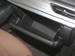 2021Hi 290TGDI Ԅӷu 