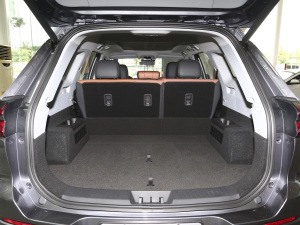 2021Hi 290TGDI Ԅӷu g