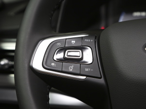 2021Hi 290TGDI Ԅ(dng)u п؅^(q)