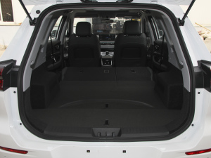 2021Hi 290TGDI ԄL g