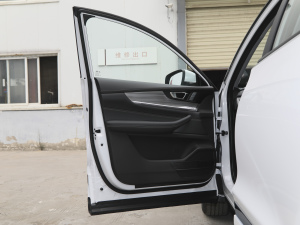 2021Hi 290TGDI ԄL {λ܇T