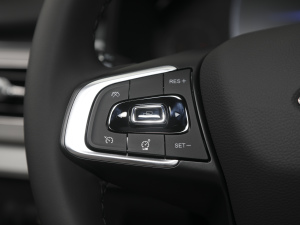 2021Hi 290TGDI Ԅ(dng)L(fng) п؅^(q)