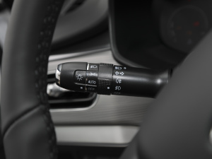 2021Hi 290TGDI Ԅ(dng)L(fng) п؅^(q)