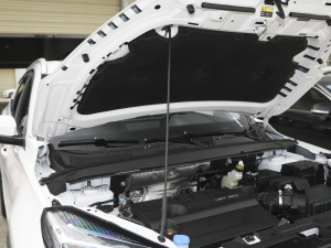 2021Hi 290TGDI ԄL(fng) 