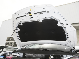 2021Hi 290TGDI ԄL(fng) l(f)әCœ