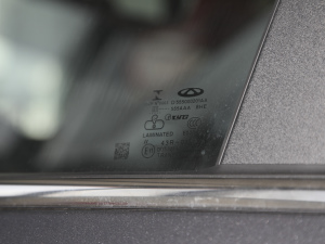 2021Hi 390TGDI Ԅ(dng)u (x)(ji)^