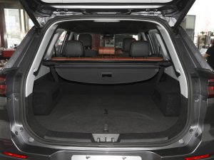 2021Hi 390TGDI Ԅӷu g