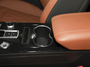 2021Hi 390TGDI Ԅӷu ǰű