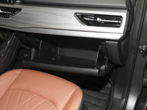 2021Hi 390TGDI Ԅӷu 