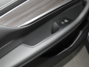 2021Hi 390TGDI Ԅӷu g