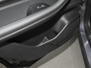 2021Hi 390TGDI Ԅӷu Tg