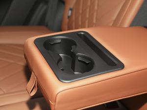 2021Hi 390TGDI Ԅӷu ֹ