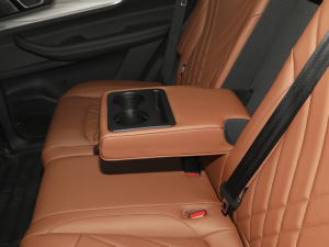 2021Hi 390TGDI Ԅӷu 