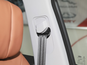 2021Hi 390TGDI Ԅӷu g