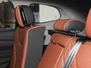 2021Hi 390TGDI Ԅӷu g