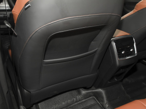 2021Hi 390TGDI Ԅӷu g