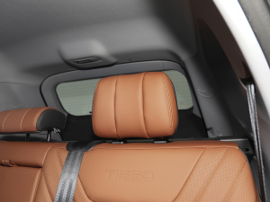 2021Hi 390TGDI Ԅӷu g