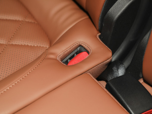 2021Hi 390TGDI Ԅӷu g