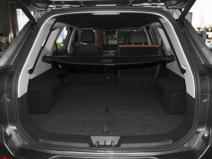 2021Hi 390TGDI Ԅӷu g