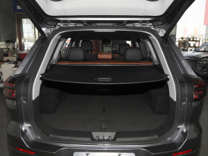 2021Hi 390TGDI Ԅӷu g