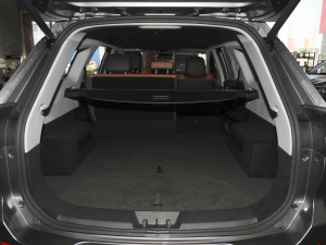 2021Hi 390TGDI Ԅӷu g