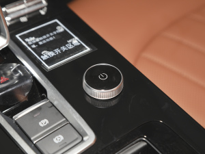 2021Hi 390TGDI Ԅӷu {