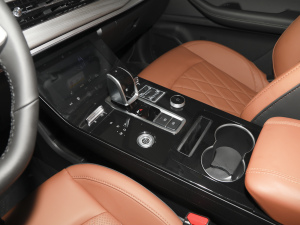 2021Hi 390TGDI Ԅӷu п؅^