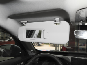 2021Hi 390TGDI Ԅӷu ꖰ壨