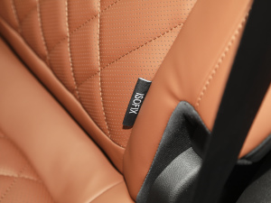 2021Hi 390TGDI Ԅ(dng)u п؅^(q)