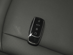 2021Hi 390TGDI Ԅӷu ܇耳