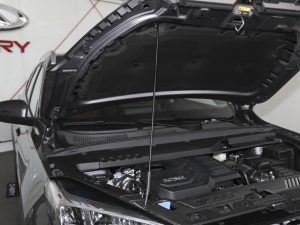 2021Hi 390TGDI Ԅӷu 