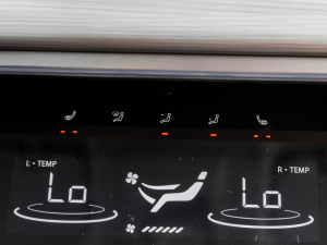 2021Hi 390TGDI ԄL g