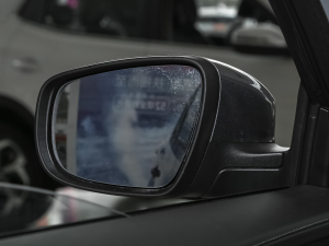 2021Hi 390TGDI Ԅչ ^