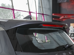 2021Hi 390TGDI Ԅչ ^