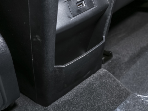 2021Hi 390TGDI Ԅ(dng)չ g