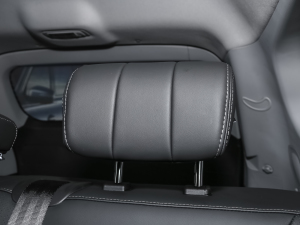 2021Hi 390TGDI Ԅ(dng)չ g