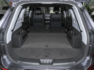 2021Hi 390TGDI Ԅ(dng)չ g