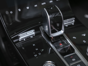 2021Hi 390TGDI Ԅչ п؅^