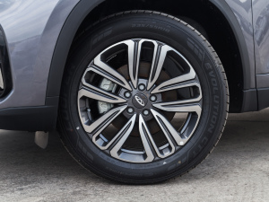 2021Hi 290TGDI Ԅչ ^