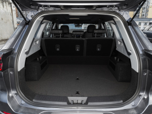 2021Hi 290TGDI Ԅչ g